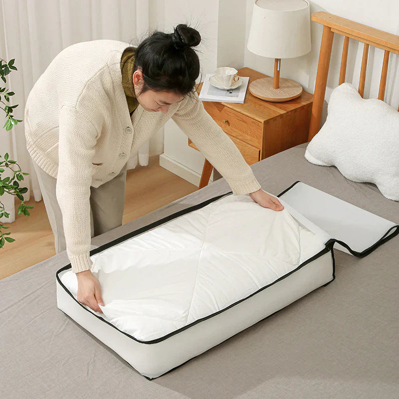 Clothes Storage Bag Pack of 2